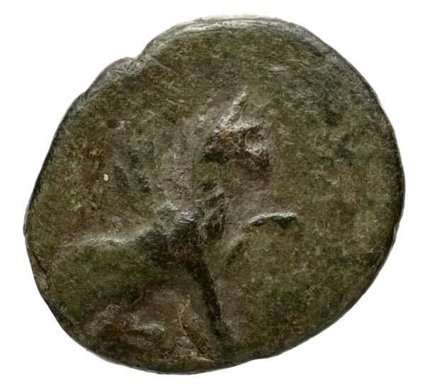 Teos Kinns 1980 Period IV, AE 14, аверс, bnf-iris