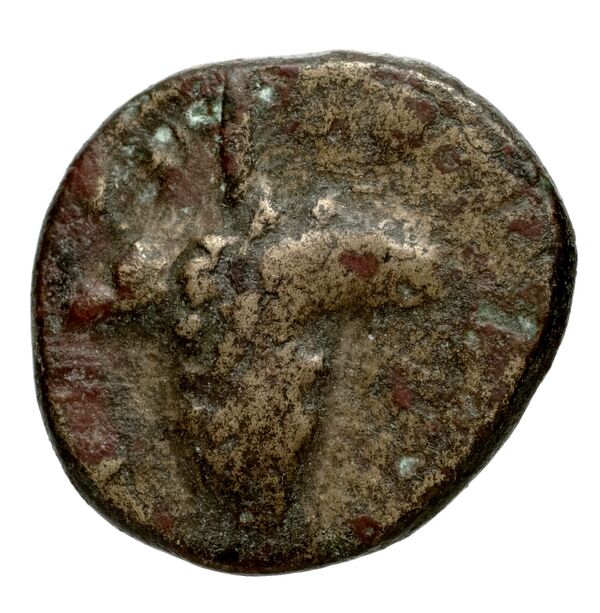 Teos Kinns 1980 Period IV, AE 19, реверс, bnf-iris