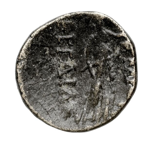 Perge Colin 1996 4.4, реверс, bnf-iris