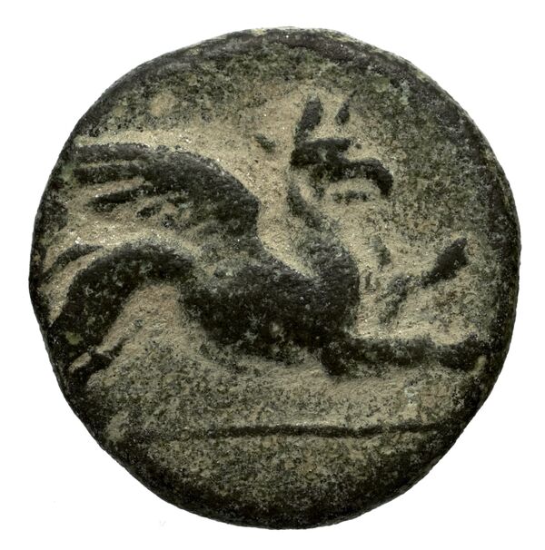Teos Kinns 1980 Period II, AE 10, аверс, bnf-iris
