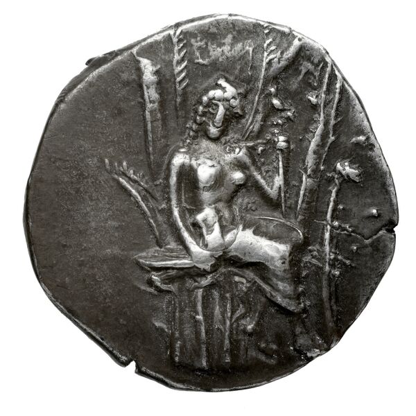 Phaselis Heipp-Tamer 1993 AE 3, аверс, bnf-iris