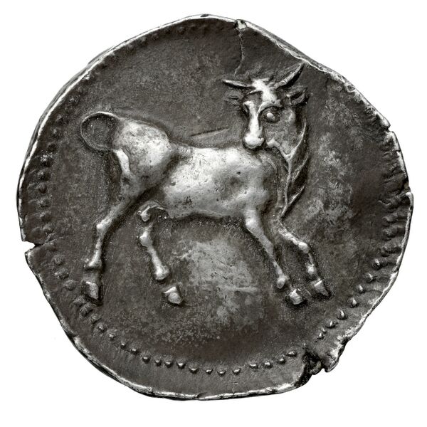 Phaselis Heipp-Tamer 1993 AE 3, реверс, bnf-iris
