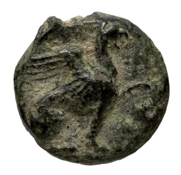 Teos Kinns 1980 Period I.1, AE 2, аверс, bnf-iris