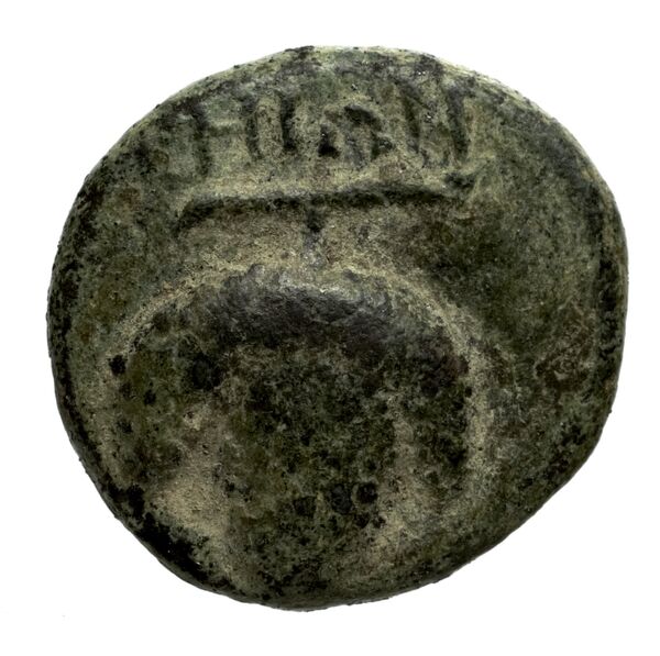 Teos Kinns 1980 Period III, AE 13, реверс, bnf-iris