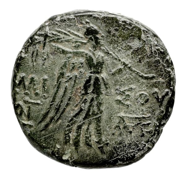 reverse Alea BMC Alea Alea 1