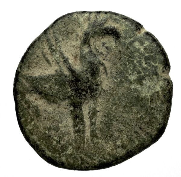 Teos Kinns 1980 Period IV, AE 14, аверс, bnf-iris