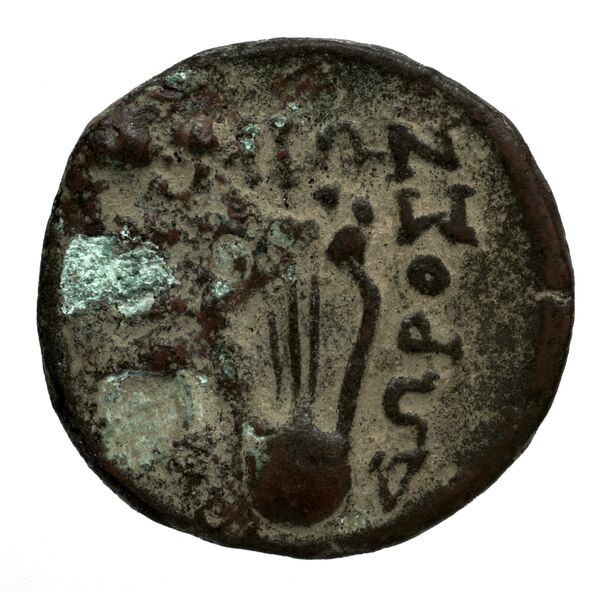 Teos Kinns 1980 Period II, AE 10, реверс, bnf-iris