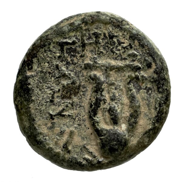 Teos Kinns 1980 Period II, AE 7, реверс, bnf-iris