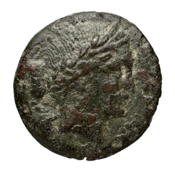 Chersonesus, Tauric Anokhin 2011 770-1, аверс, bnf-iris