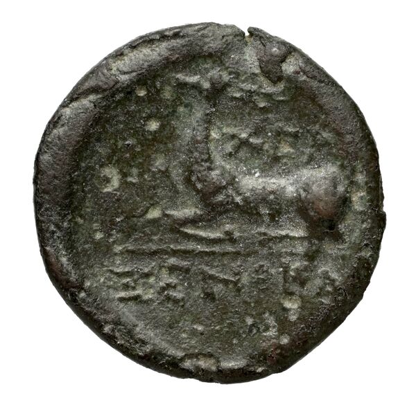 Chersonesus, Tauric Anokhin 2011 770-1, реверс, bnf-iris