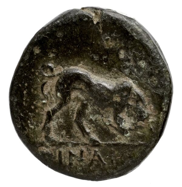 Oenoe BMC Oenoe 1, реверс, bnf-iris