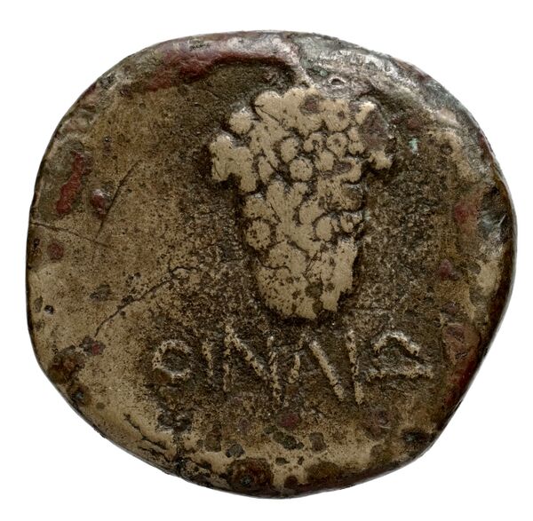 Oenoe BMC Oenoe 2, реверс, bnf-iris