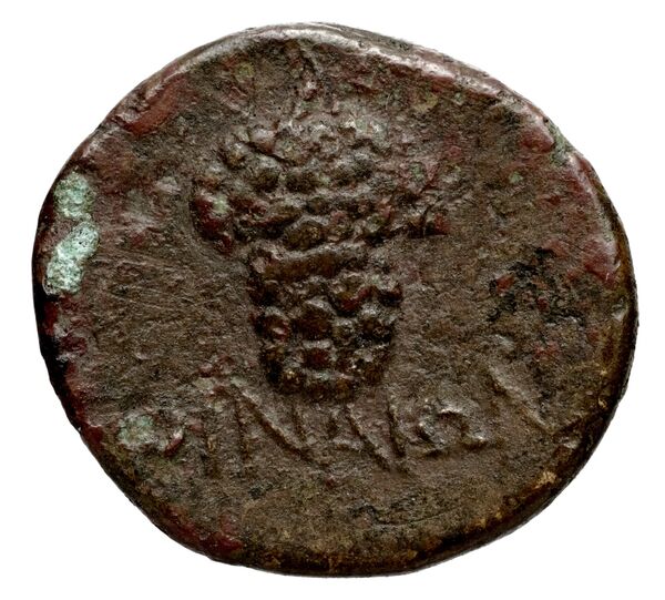 Oenoe BMC Oenoe 2, реверс, bnf-iris