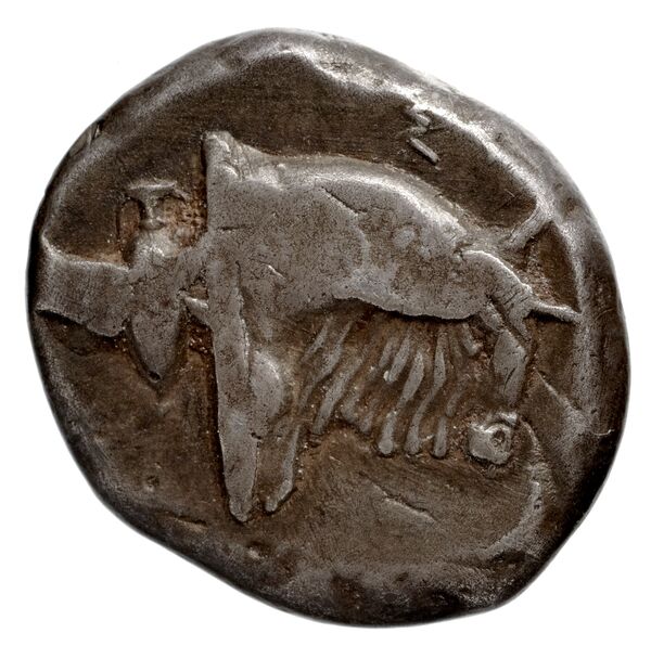 Samos Barron 1966 Class III tetradrachms, реверс, bnf-iris
