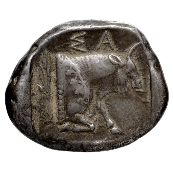 Samos Barron 1966 Class VII tetradrachms, реверс, bnf-iris