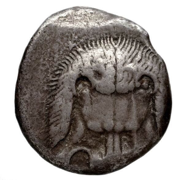Samos Barron 1966 Class VII tetradrachms, аверс, bnf-iris
