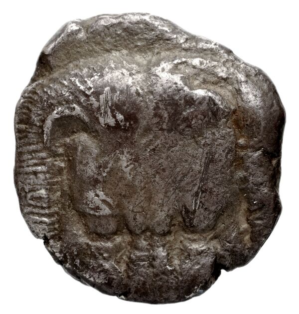 Samos Barron 1966 Class X tetradrachms, аверс, bnf-iris