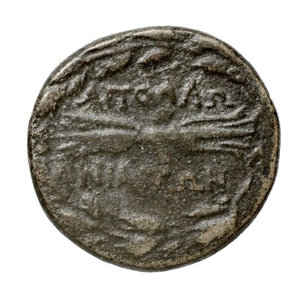 Apollonia Mordiaeum von Aulock 1979 1-7, реверс, bnf-iris