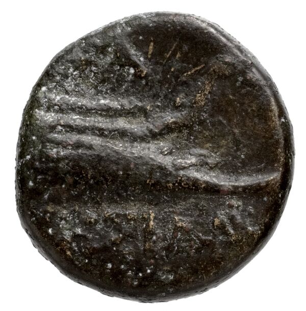 Samos Barron 1966 Pl. xxxi, 6, реверс, bnf-iris