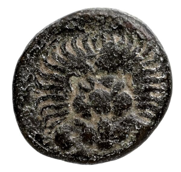 Samos Barron 1966 Pl. xxxi, 4, реверс, bnf-iris