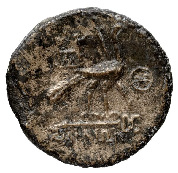Samos BMC Samos 201-209, реверс, bnf-iris