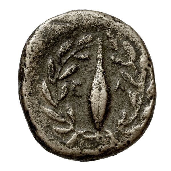 Elaea BMC Elaea 6, реверс, bnf-iris