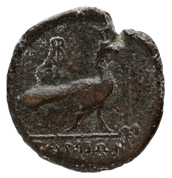 Samos BMC Samos 201-209, реверс, bnf-iris