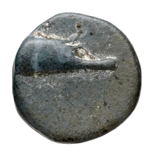 Samos Barron 1966 Pl. xvii, AE, аверс, bnf-iris