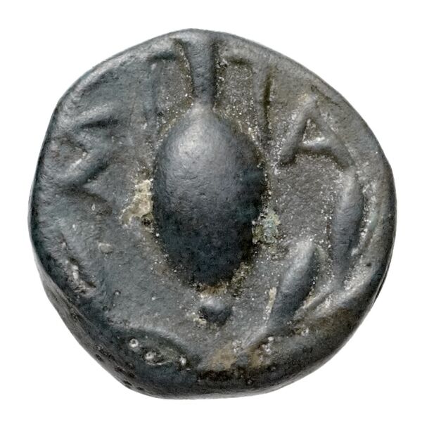 Samos Barron 1966 Pl. xvii, AE, реверс, bnf-iris