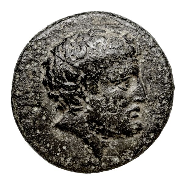Larissa Phriconis Babelon 1910 2070, obverse, bnf-iris