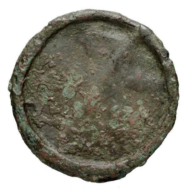 Olbia Anokhin 2011 169-72, реверс, bnf-iris