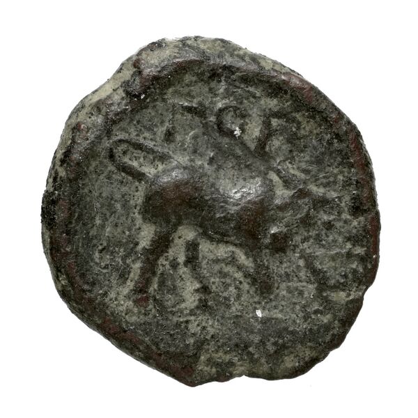 Olbia Anokhin 2011 169-72, реверс, bnf-iris