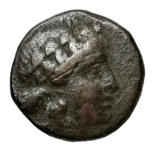 аверс Amphipolis Lorber 1990 Hemidrachm