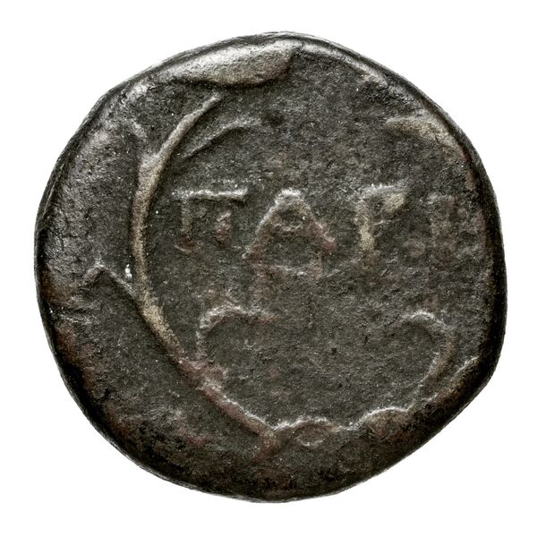 реверс Amphipolis Lorber 1990 Hemidrachm