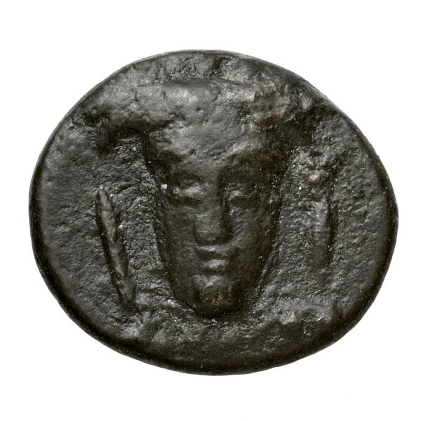 coin obv