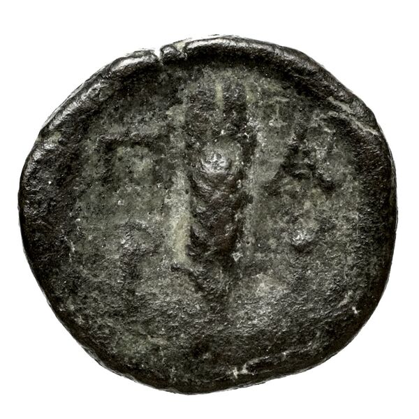 reverse Melitaea Rogers 1932 394-399