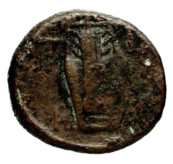 Mytilene BMC Mytilene 145-148, реверс, bnf-iris