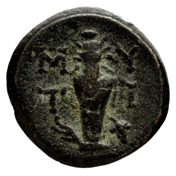 Mytilene BMC Mytilene 131-8, реверс, bnf-iris
