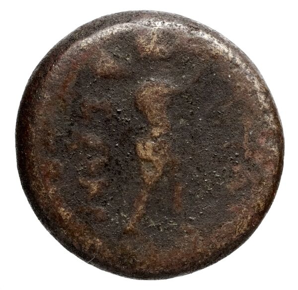 Bargylia BMC Bargylia 4, реверс, bnf-iris