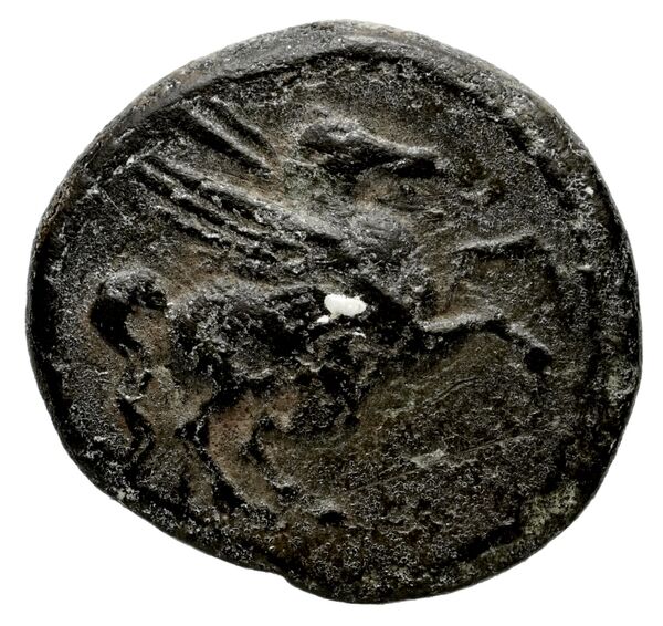 Nesos Stauber 1996 1-4, obverse, bnf-iris