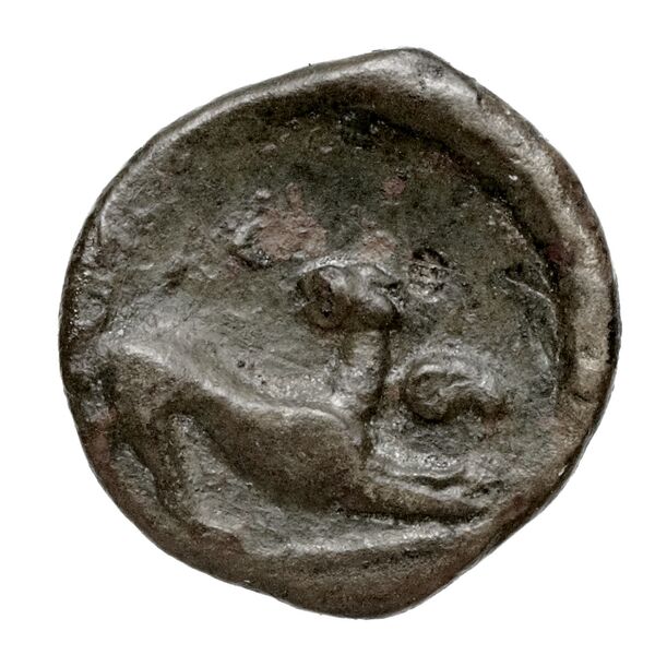 reverse Phacium Rogers 1932 444-445