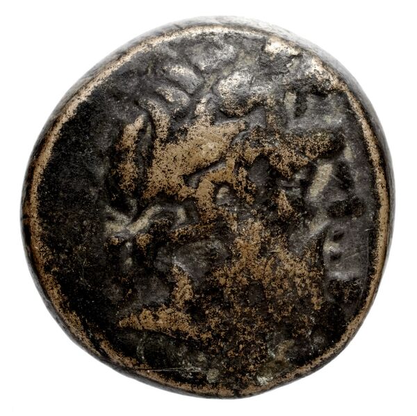 аверс Orchomenus Babelon 1907 1342-1343, 1345-1346
