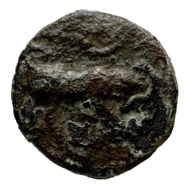 Caunus Konuk 1998 pl. 50, B, аверс, bnf-iris