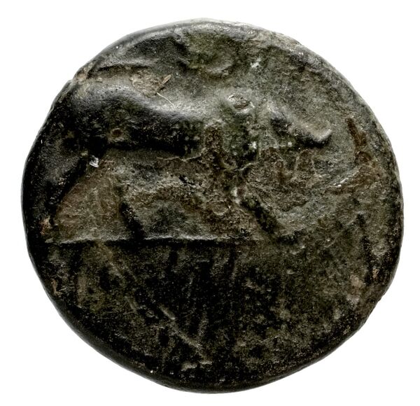 Caunus Konuk 1998 pl. 50, B, bnf-iris