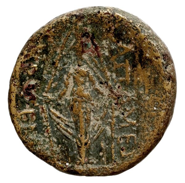 reverse Stymphalus BMC Stymphalus 1-5