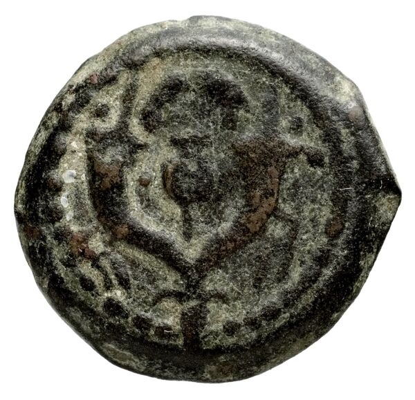 reverse Stymphalus BMC Stymphalus 6
