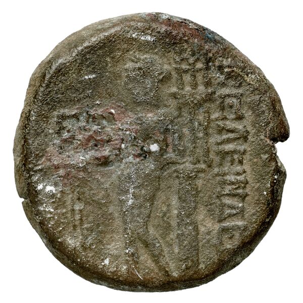 Celenderis BMC Celenderis 40-1, реверс, bnf-iris