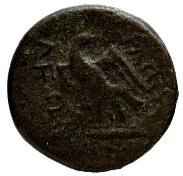 реверс Amphipolis AMNG III.2 23