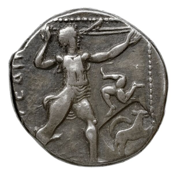 реверс Andros Dreni 2010 XVII
