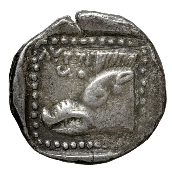 Tegea BMC Tegea 15-6, реверс, bnf-iris